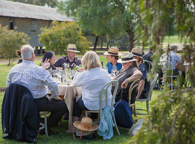 Box Grove Vineyard Osteria