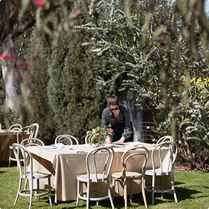 Box Grove Vineyard Osteria